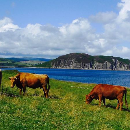 Rural Farmhouse On Kintyre, West Coast Hidden Gem Kildalloig Buitenkant foto
